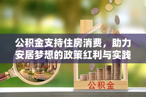 壤塘公积金支持住房消费，助力安居梦想的政策红利与实践