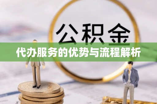 壤塘代办服务的优势与流程解析