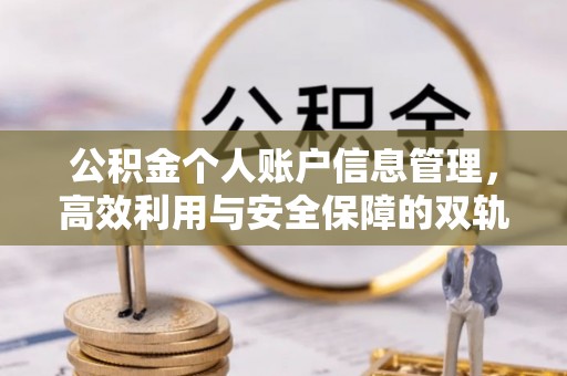 壤塘公积金个人账户信息管理，高效利用与安全保障的双轨并行