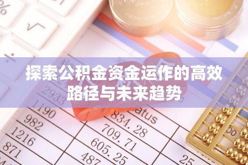 壤塘探索公积金资金运作的高效路径与未来趋势