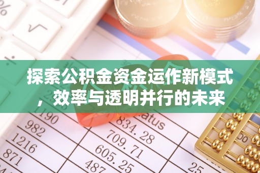 壤塘探索公积金资金运作新模式，效率与透明并行的未来