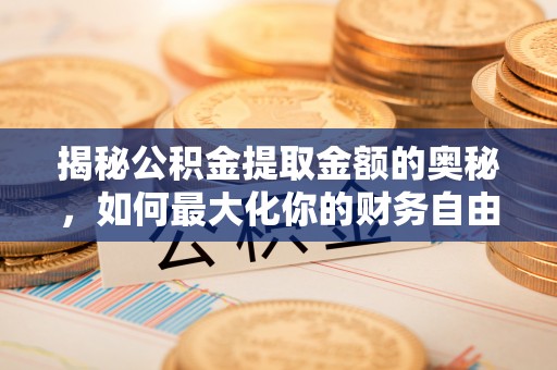 壤塘揭秘公积金提取金额的奥秘，如何最大化你的财务自由