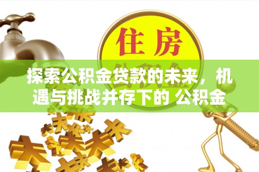 壤塘探索公积金贷款的未来，机遇与挑战并存下的 公积金贷款风险防控