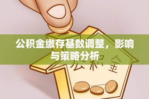 壤塘公积金缴存基数调整，影响与策略分析