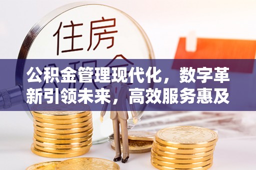 壤塘公积金管理现代化，数字革新引领未来，高效服务惠及民生