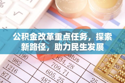 壤塘公积金改革重点任务，探索新路径，助力民生发展