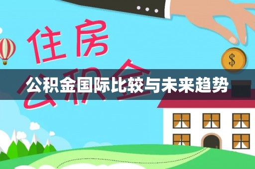 壤塘公积金国际比较与未来趋势