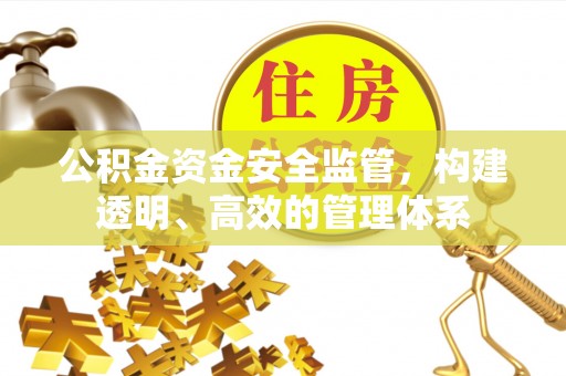 壤塘公积金资金安全监管，构建透明、高效的管理体系