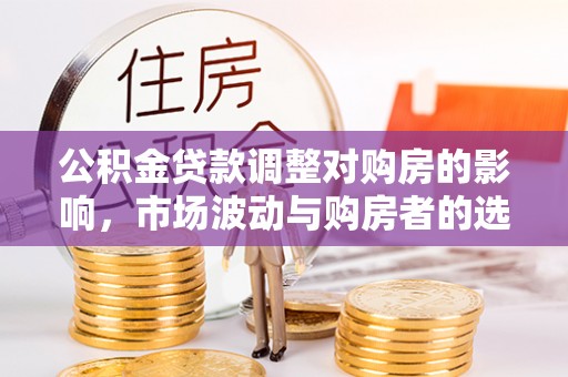壤塘公积金贷款调整对购房的影响，市场波动与购房者的选择