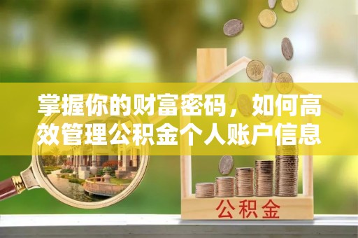壤塘掌握你的财富密码，如何高效管理公积金个人账户信息