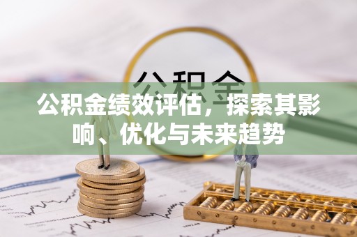 壤塘公积金绩效评估，探索其影响、优化与未来趋势