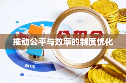 壤塘推动公平与效率的制度优化