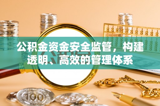 壤塘公积金资金安全监管，构建透明、高效的管理体系