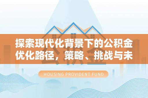 壤塘探索现代化背景下的公积金优化路径，策略、挑战与未来展望