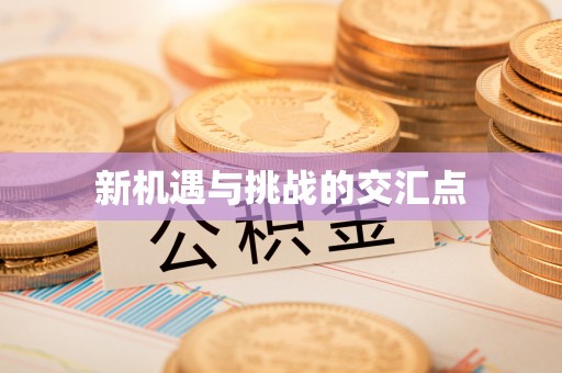 壤塘新机遇与挑战的交汇点