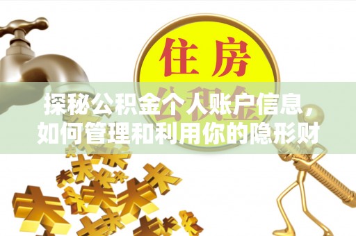 壤塘探秘公积金个人账户信息，如何管理和利用你的隐形财富