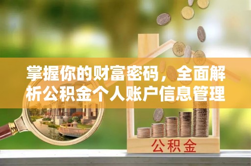 壤塘掌握你的财富密码，全面解析公积金个人账户信息管理与优化