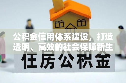壤塘公积金信用体系建设，打造透明、高效的社会保障新生态