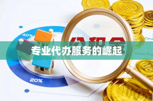 壤塘专业代办服务的崛起