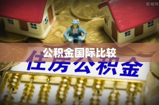 壤塘公积金国际比较