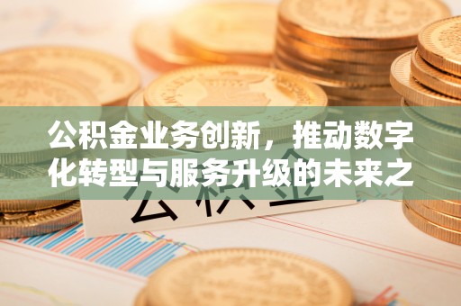 壤塘公积金业务创新，推动数字化转型与服务升级的未来之路