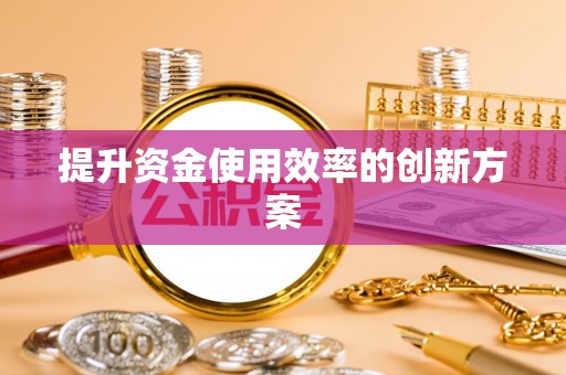 壤塘提升资金使用效率的创新方案