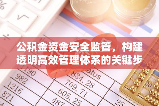 壤塘公积金资金安全监管，构建透明高效管理体系的关键步骤