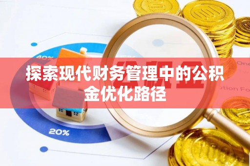 壤塘探索现代财务管理中的公积金优化路径