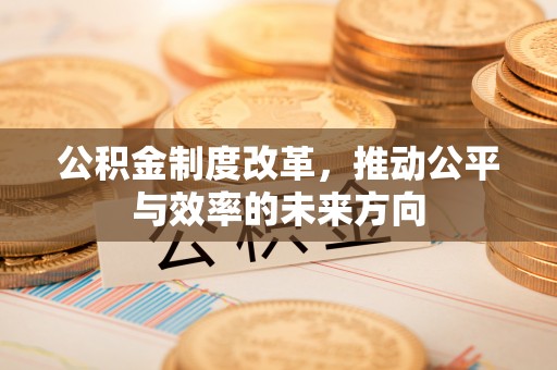 壤塘公积金制度改革，推动公平与效率的未来方向