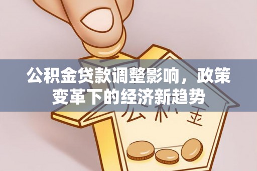 壤塘公积金贷款调整影响，政策变革下的经济新趋势