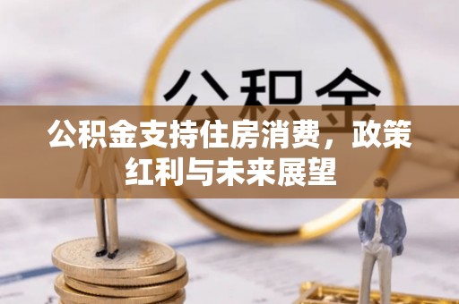 壤塘公积金支持住房消费，政策红利与未来展望