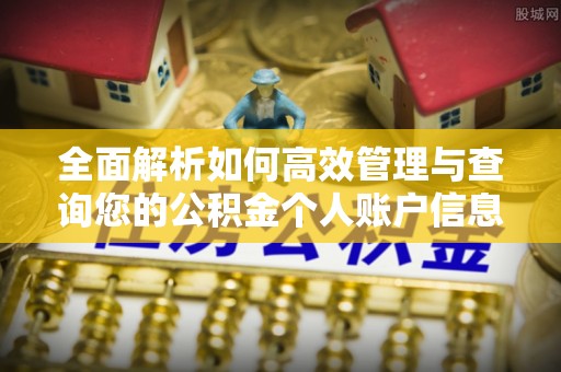 壤塘全面解析如何高效管理与查询您的公积金个人账户信息