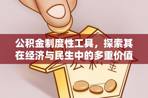 壤塘公积金制度性工具，探索其在经济与民生中的多重价值