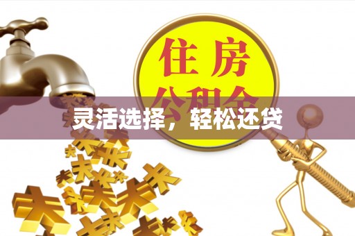 壤塘灵活选择，轻松还贷