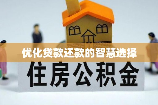 壤塘优化贷款还款的智慧选择
