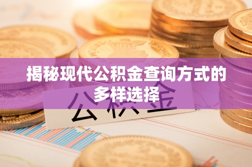 壤塘揭秘现代公积金查询方式的多样选择