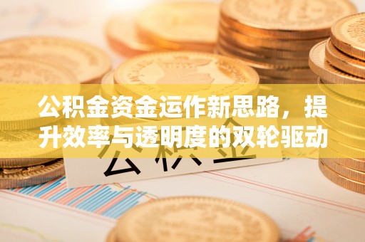 壤塘公积金资金运作新思路，提升效率与透明度的双轮驱动