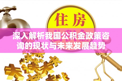 壤塘深入解析我国公积金政策咨询的现状与未来发展趋势