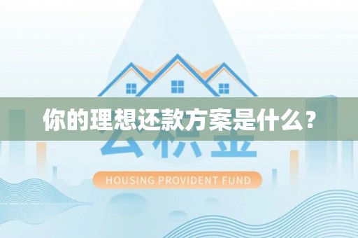 壤塘你的理想还款方案是什么？