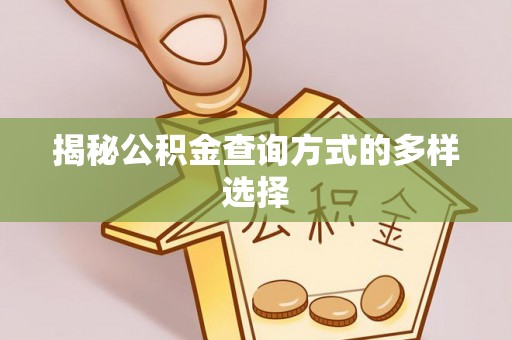 壤塘揭秘公积金查询方式的多样选择