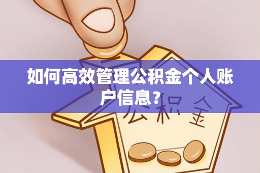 壤塘如何高效管理公积金个人账户信息？