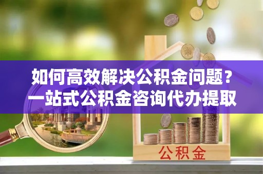 壤塘如何高效解决公积金问题？一站式公积金咨询代办提取服务全解析