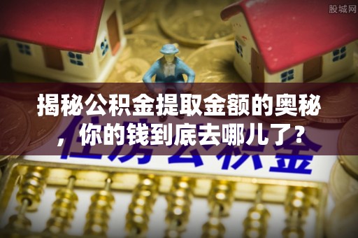 壤塘揭秘公积金提取金额的奥秘，你的钱到底去哪儿了？