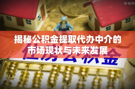壤塘揭秘公积金提取代办中介的市场现状与未来发展