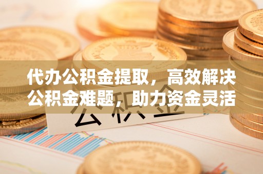 壤塘代办公积金提取，高效解决公积金难题，助力资金灵活使用