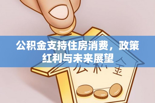壤塘公积金支持住房消费，政策红利与未来展望