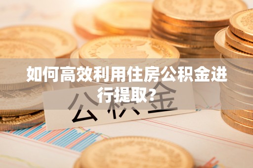 壤塘如何高效利用住房公积金进行提取？