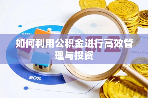 壤塘如何利用公积金进行高效管理与投资