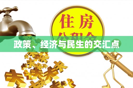 壤塘政策、经济与民生的交汇点