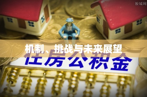 壤塘机制、挑战与未来展望